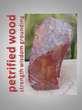 #5 Petrified Wood chunk stone fossil FORTUNE strength CALMNESS